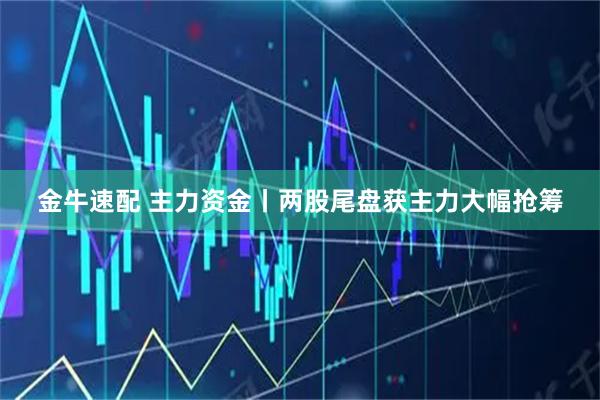 金牛速配 主力资金丨两股尾盘获主力大幅抢筹